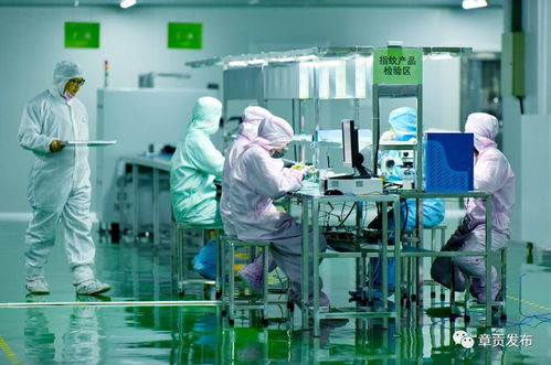 章贡区智慧工厂引领智能制造新时代 传统产业与数字化融合的双赢蓝图